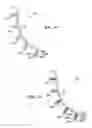 Fig. 10 - Skate boot having a lace member with at least one opening