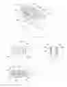 Fig. 40 - Brush product and method for the production thereof