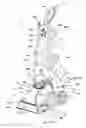 Fig. 01 - Surface cleaning apparatus with flexible bellows