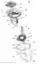 Fig. 01 - Surface cleaning apparatus