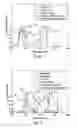 Fig. 09 - Endoscopic imaging apparatus and method