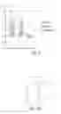 Fig. 16 - Automated time-domain determination of tissue viscoelasticity in a sub-hertz frequency range