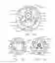 Fig. 118 - Clip applier comprising a reciprocating clip advancing member