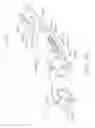 Fig. 33 - Clip applier comprising a reciprocating clip advancing member
