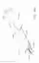Fig. 59 - Clip applier comprising a reciprocating clip advancing member