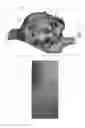 Fig. 05 - Point density illustration