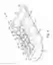 Fig. 05 - Tissue marking system