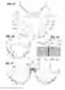 Fig. 08 - Prosthetic heart valve