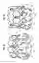 Fig. 16 - Prosthetic heart valve