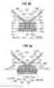 Fig. 22 - Prosthetic heart valve