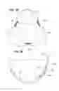 Fig. 09 - Prosthetic heart valve