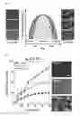 Fig. 08 - Multilayered emulsion film and method for preparing the same