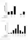 Fig. 04 - Autophagy activation-induced compound for improving skin inflammation for aging