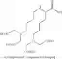 Fig. 20 - Autophagy activation-induced compound for improving skin inflammation for aging