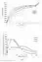 Fig. 03 - Pharmaceutical formulations for sustained release of sebacoyl dinalbuphine ester