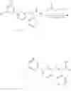 Fig. 95 - Nuclear transport modulators and uses thereof