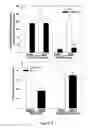Fig. 04 - Methods for treating skeletal muscle cachexia arising from burn injury by administering PDE4B-selective inhibitors