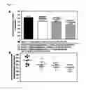 Fig. 02 - Pharmaceutical combinations for treating cancer