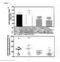 Fig. 04 - Pharmaceutical combinations for treating cancer