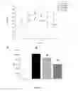 Fig. 05 - Use of cyanoglucosides and pharmaceutical formulations thereof in the treatment of diabetes