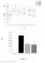 Fig. 07 - Use of cyanoglucosides and pharmaceutical formulations thereof in the treatment of diabetes