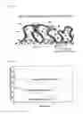 Fig. 02 - SUSTAINED RELEASE OF ANTIINFECTIVES