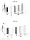 Fig. 04 - THERAPEUTIC AGENT FOR DISEASE ACCOMPANIED BY EPILEPTIC WAVES
