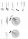 Fig. 03 - CHIMERIC ANTIGEN RECEPTORS AND METHODS OF USE THEREOF