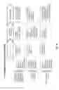 Fig. 05 - Platelet lysate gel