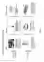Fig. 06 - Platelet lysate gel