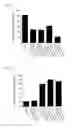 Fig. 06 - Acetylcholine receptor-specific immunosuppressive compositions and methods of treatment of myasthenia gravis