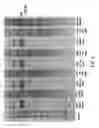 Fig. 03 - Compositions and methods to treat AIDS