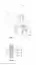 Fig. 02 - A VENT FOR A COMPONENT OF A  RESPIRATORY THERAPY SYSTEM