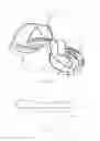 Fig. 07 - TRAINING DEVICE AND TRAINING SEAT FOR KITE SURFING AND METHOD THEREOF