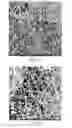 Fig. 06 - Durable nanofiber synthetic filter media