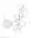 Fig. 06 - Hands-free dual clamp device