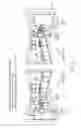 Fig. 06 - Autonomous robotic avatars
