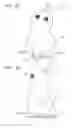 Fig. 02 - Autonomously acting robot that wears clothes