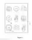 Fig. 02 - Device, system and method for making custom printed products
