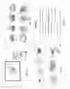 Fig. 02 - Memorial object for preserving cremains and methods to produce