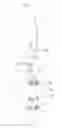 Fig. 07 - KNOCK TYPE PEN