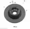 Fig. 07 - Container structure for attaching sensors to tires and method of manufacturing tire container structure