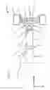 Fig. 03 - Vehicle Wheel Suspension