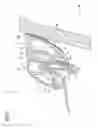 Fig. 06 - Vehicle door seal structure