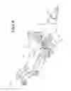 Fig. 09 - STEERING COLUMN FOR VEHICLE