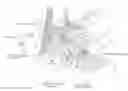 Fig. 01 - Vehicle side portion structure