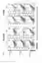 Fig. 04 - Chimeric antigen receptors specific for B-cell maturation antigen and encoding polynucleotides
