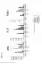 Fig. 19 - Chimeric antigen receptors specific for B-cell maturation antigen and encoding polynucleotides