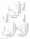 Fig. 21 - Chimeric antigen receptors specific for B-cell maturation antigen and encoding polynucleotides