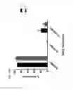 Fig. 35 - Chimeric antigen receptors specific for B-cell maturation antigen and encoding polynucleotides